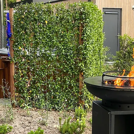Cozy In Wenum-wiesel With Wifi